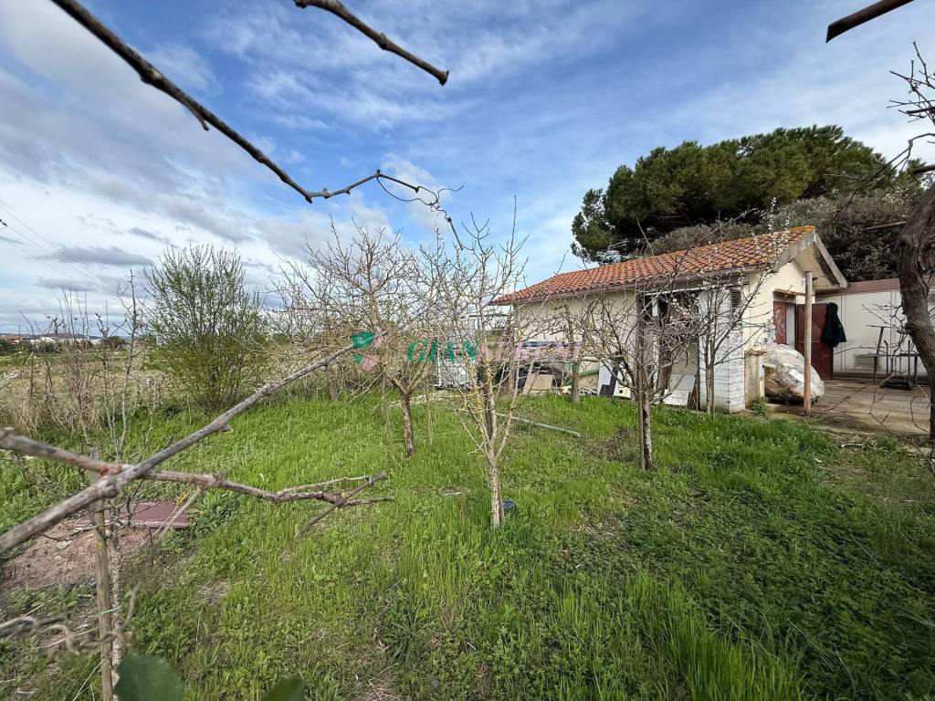 immagine annuncio 10 di 14