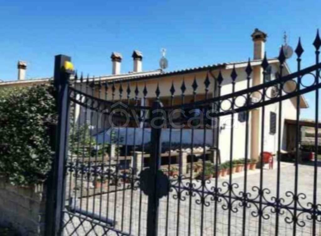 immagine annuncio 11 di 12