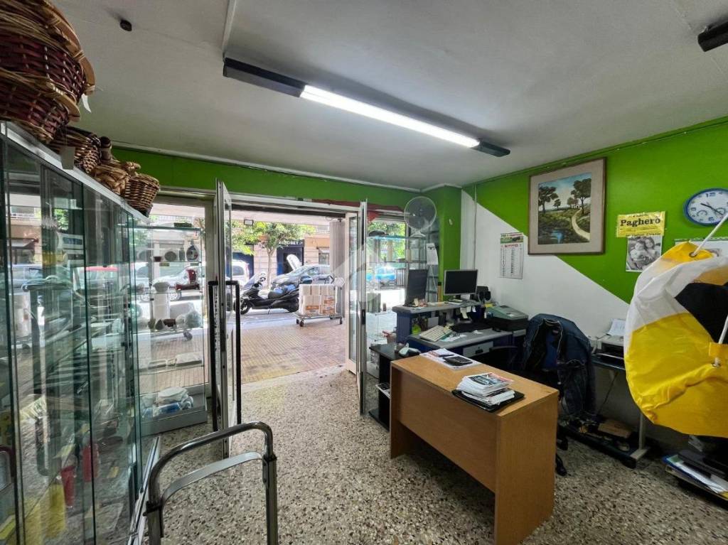 immagine annuncio 5 di 11