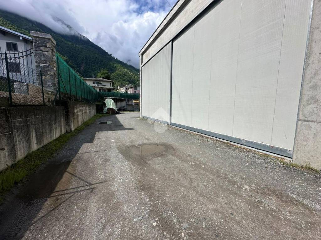 immagine annuncio 3 di 5