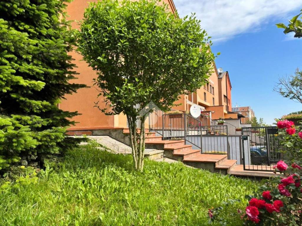 immagine annuncio 3 di 15