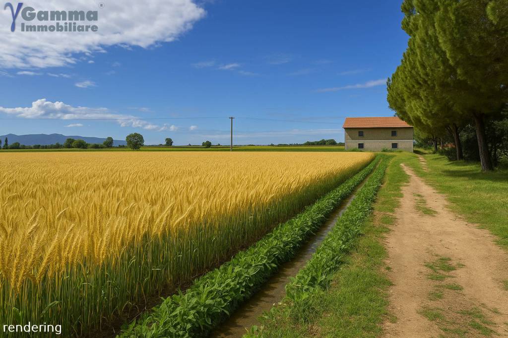 immagine annuncio 5 di 7