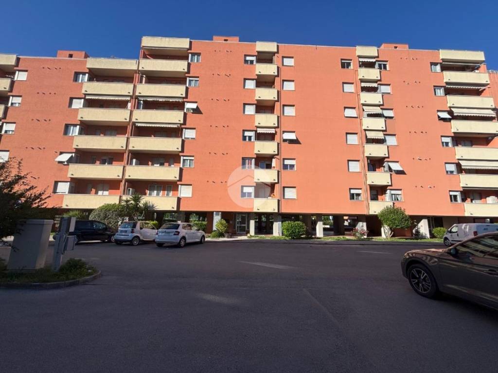 immagine annuncio 11 di 12