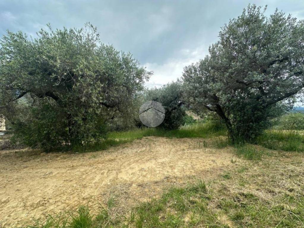 immagine annuncio 6 di 14