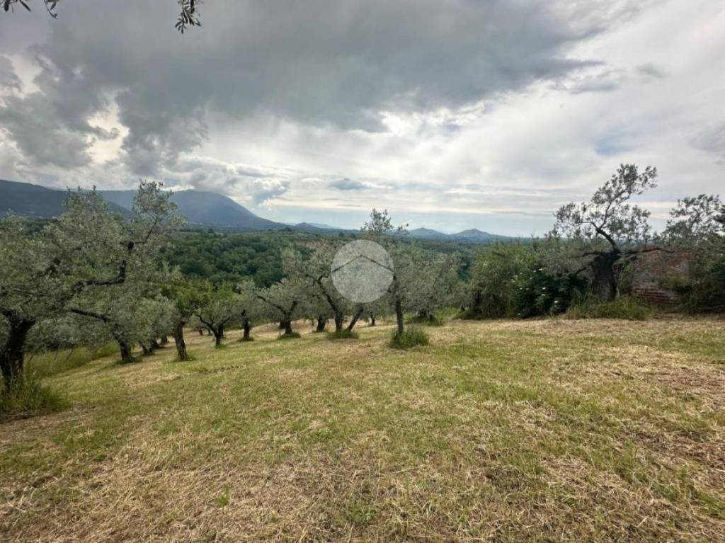 immagine annuncio 7 di 14