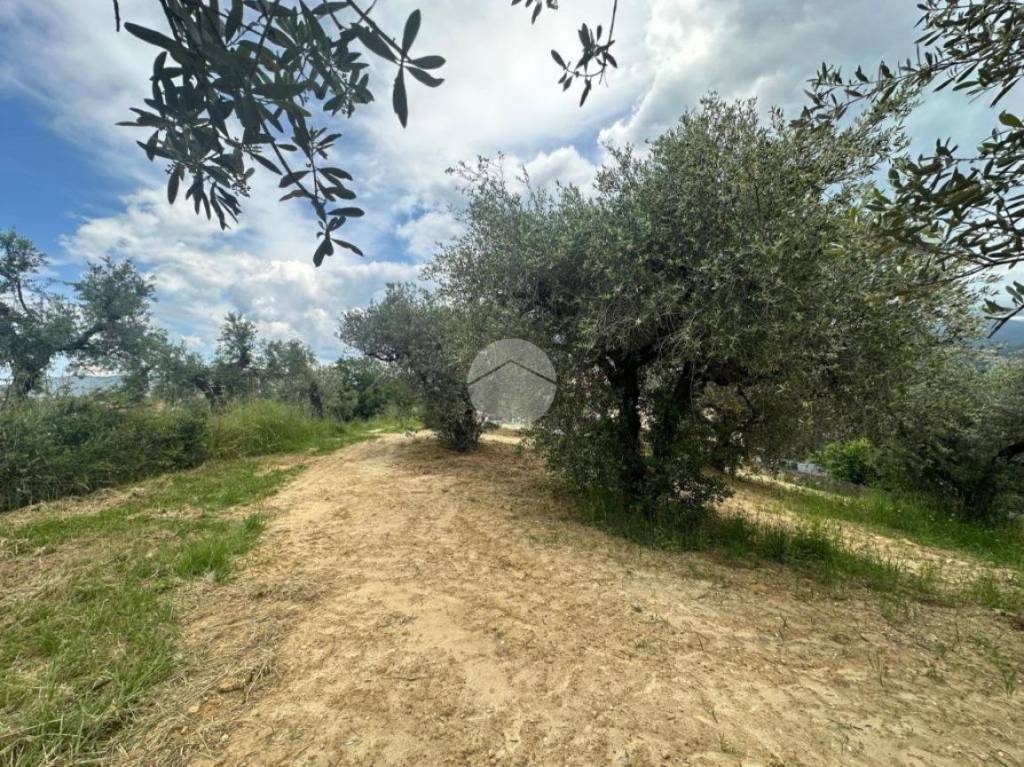 immagine annuncio 11 di 14