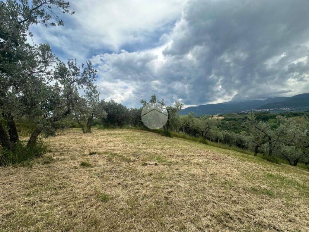 immagine annuncio 13 di 14