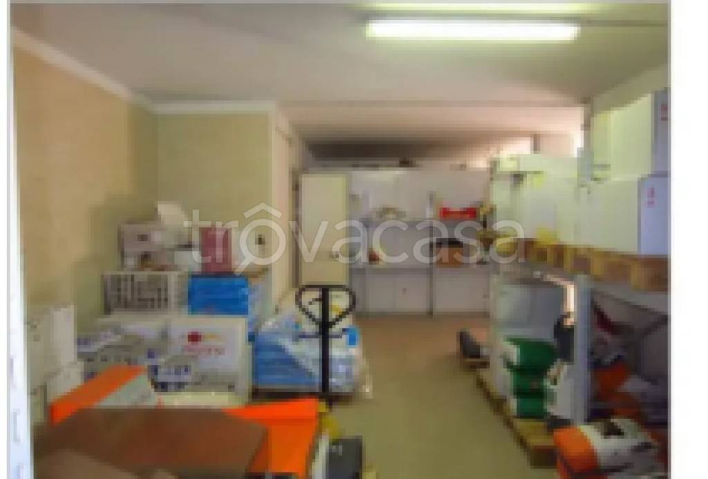 immagine annuncio 7 di 12
