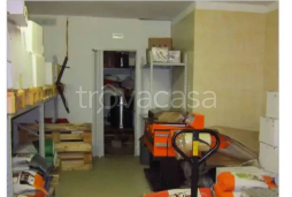 immagine annuncio 10 di 12