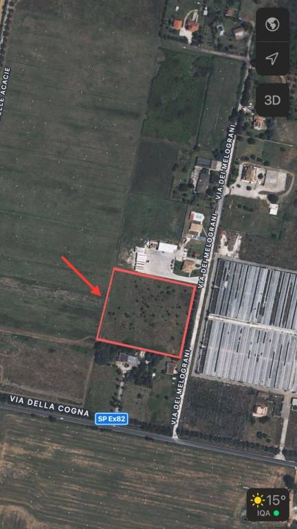 immagine annuncio 9 di 10