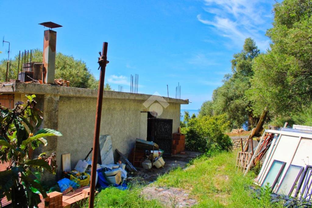 immagine annuncio 4 di 14