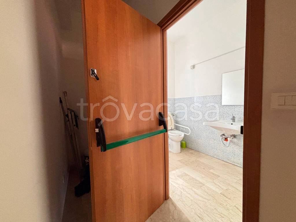 immagine annuncio 11 di 14