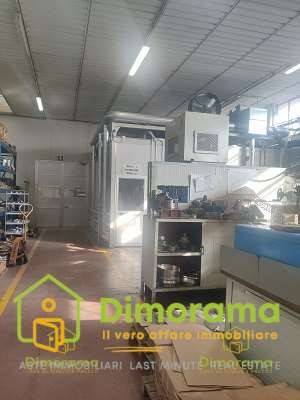 immagine annuncio 4 di 7