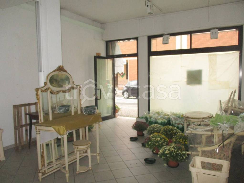 immagine annuncio 2 di 9