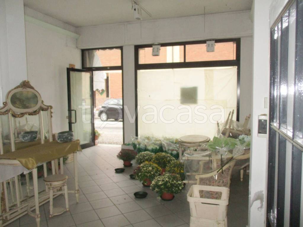 immagine annuncio 3 di 9