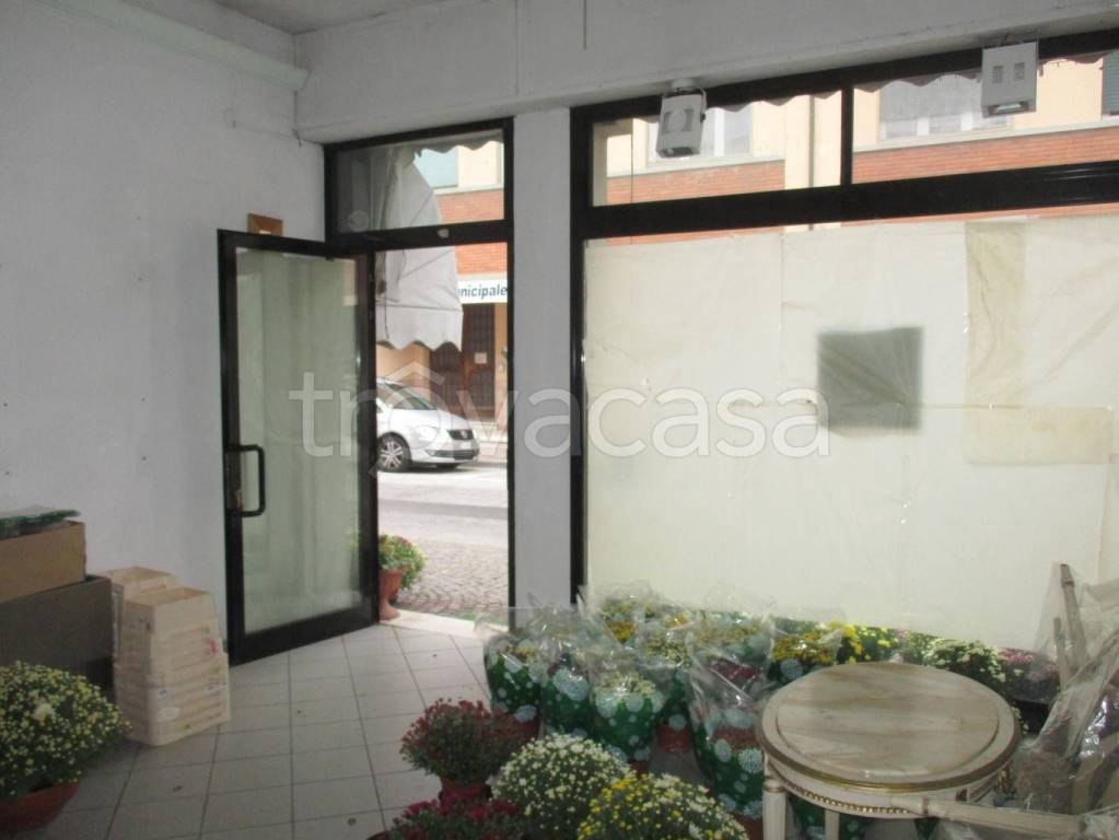 immagine annuncio 4 di 9