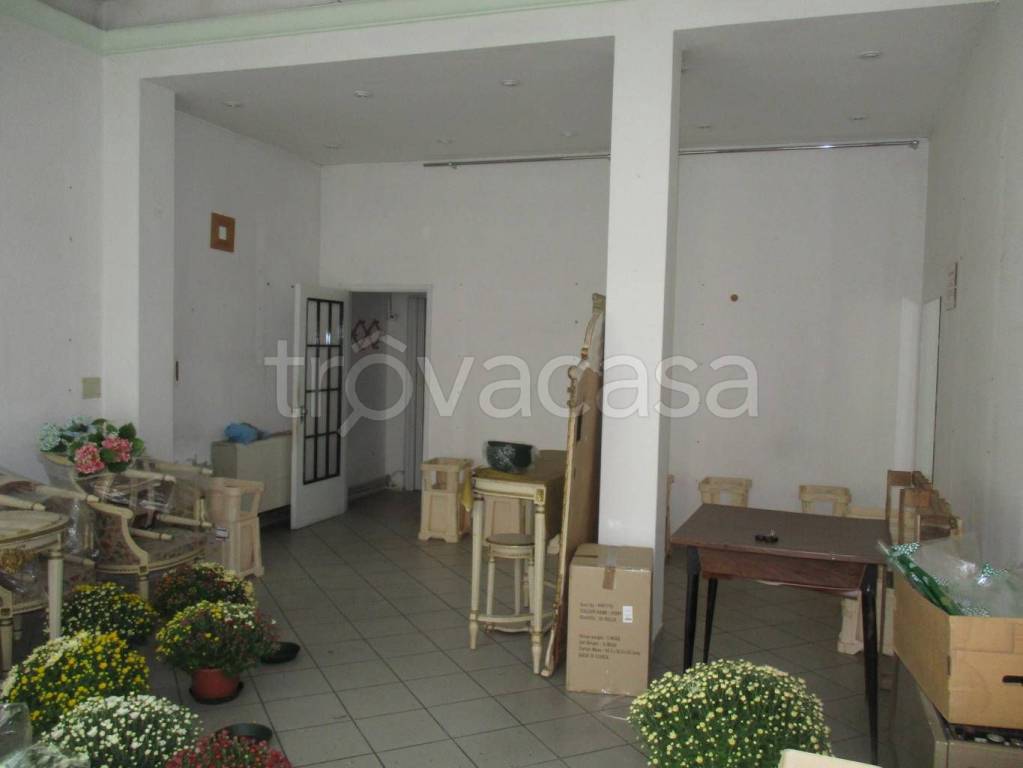 immagine annuncio 5 di 9