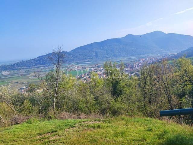 immagine annuncio 7 di 9