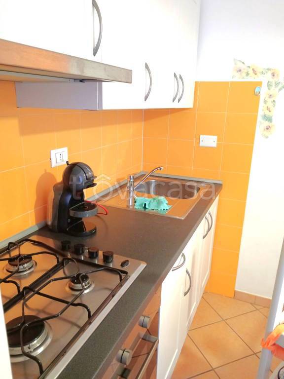 immagine annuncio 9 di 15