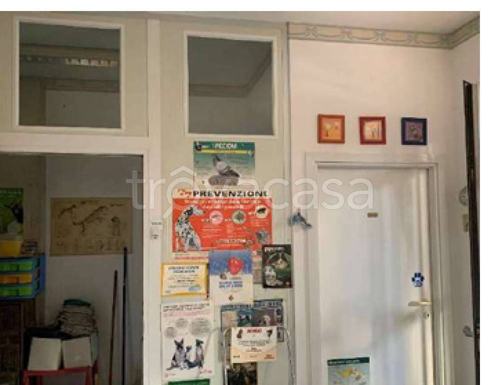 immagine annuncio 6 di 9