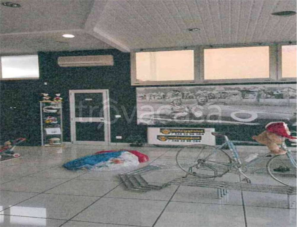 immagine annuncio 10 di 14