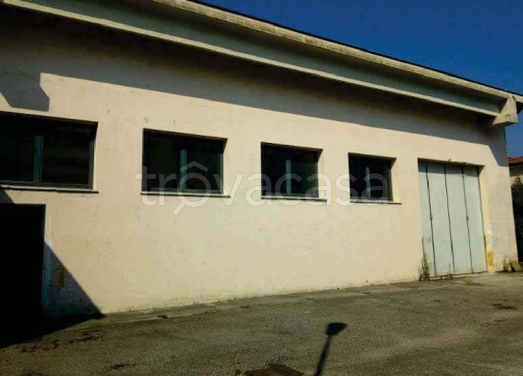 immagine annuncio 3 di 11
