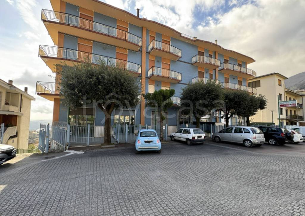 immagine annuncio 9 di 14