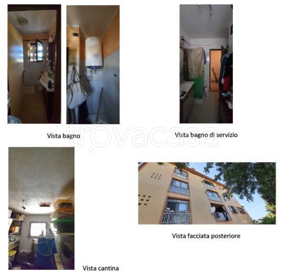 immagine annuncio 9 di 15