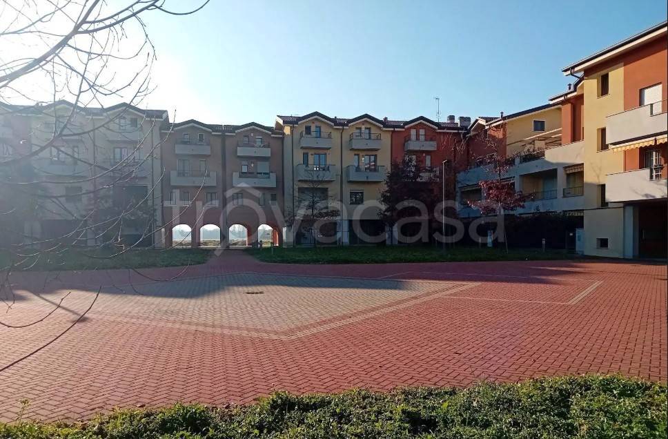 immagine annuncio 10 di 15