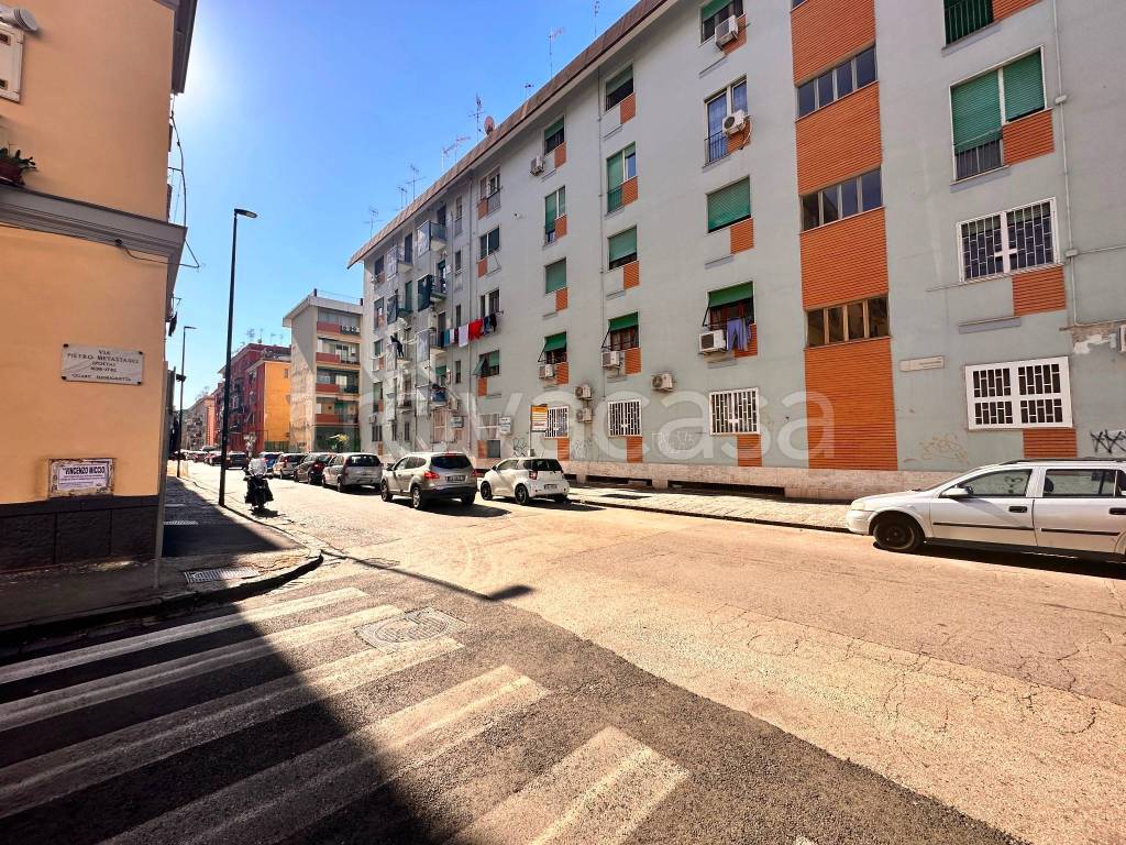 immagine annuncio 2 di 11