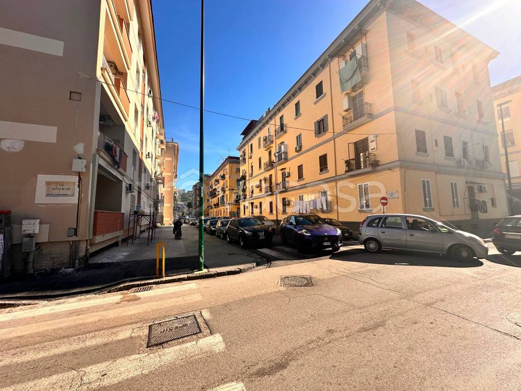 immagine annuncio 3 di 11