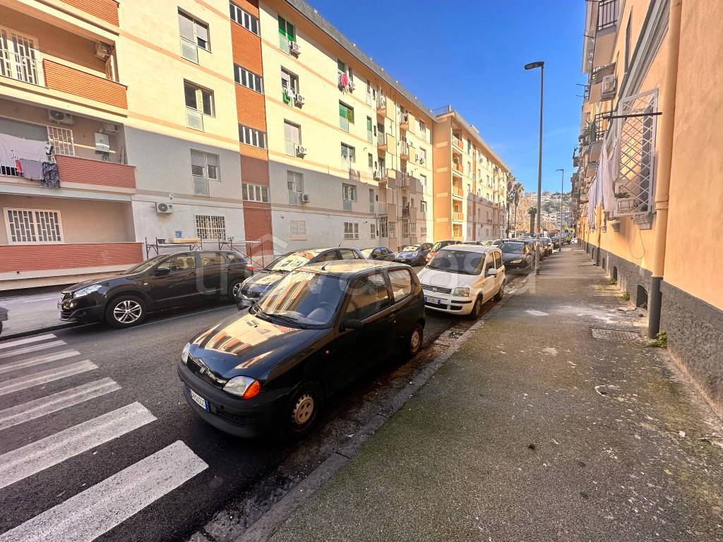 immagine annuncio 8 di 11