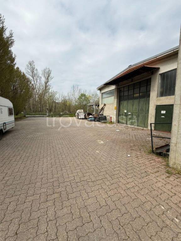 immagine annuncio 9 di 15