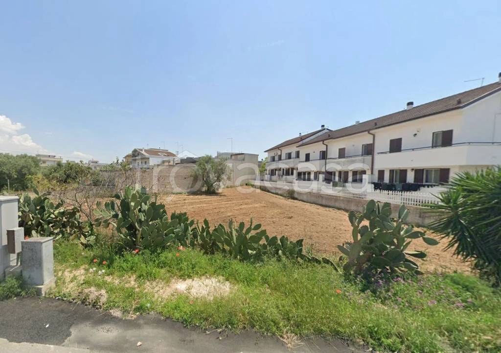 immagine annuncio 1 di 3