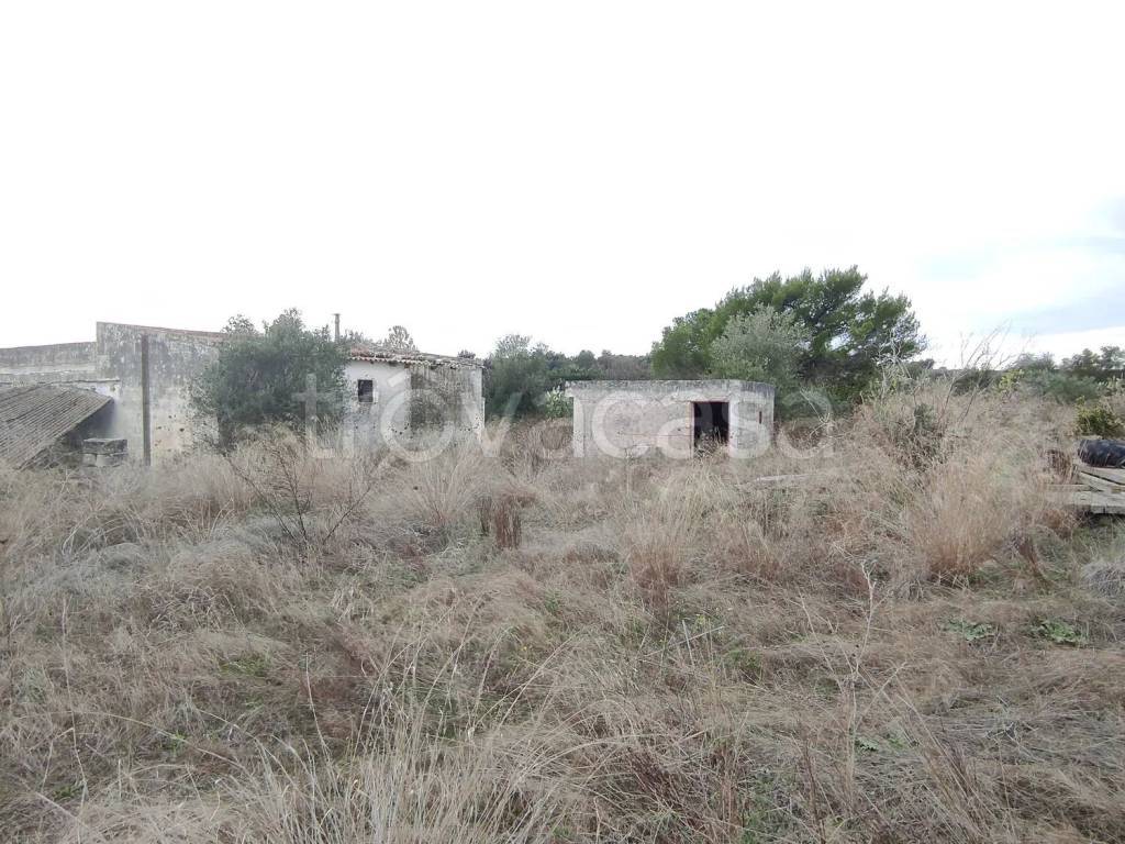 immagine annuncio 3 di 4