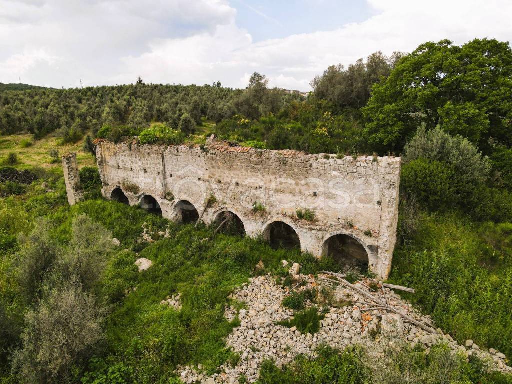 immagine annuncio 5 di 11