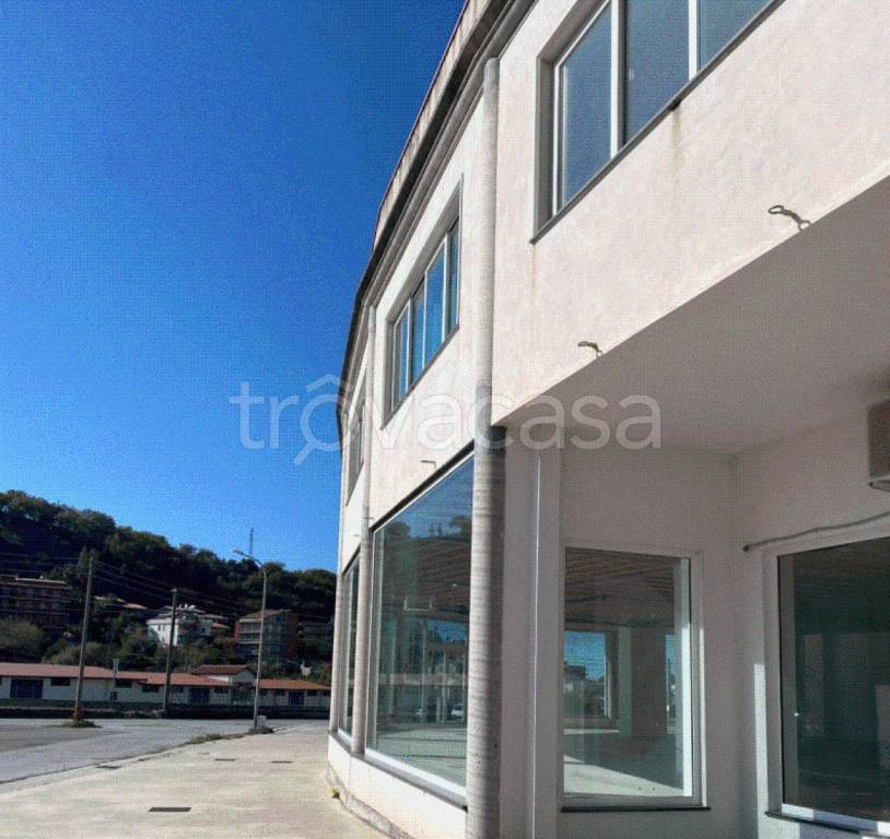 immagine annuncio 9 di 11