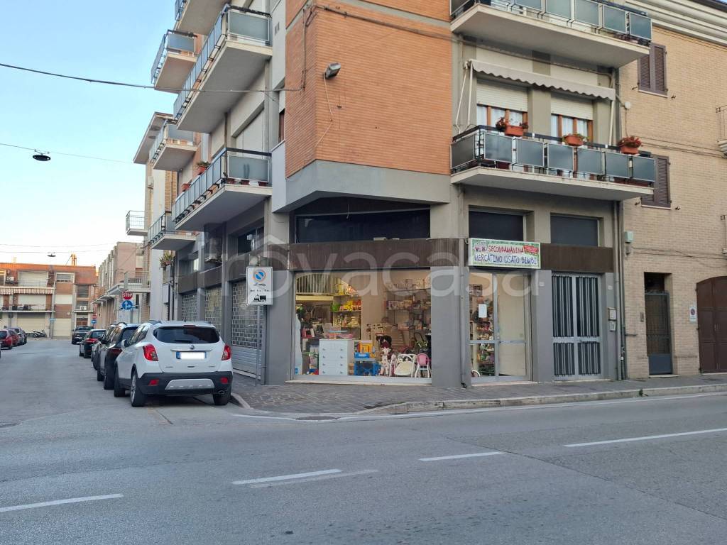 immagine annuncio 1 di 14