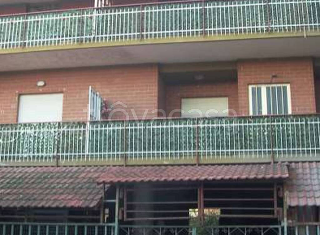 immagine annuncio 9 di 12