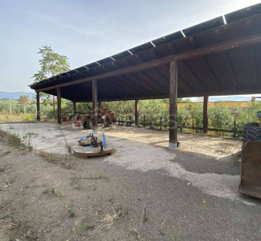 immagine annuncio 5 di 14