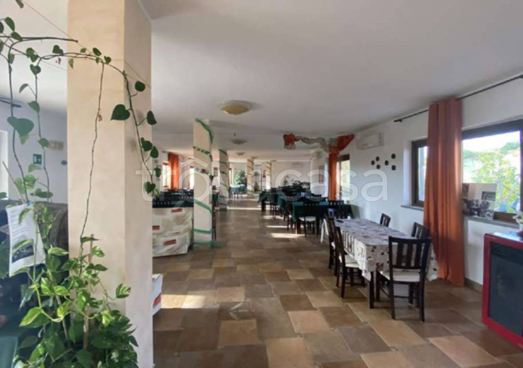 immagine annuncio 8 di 14