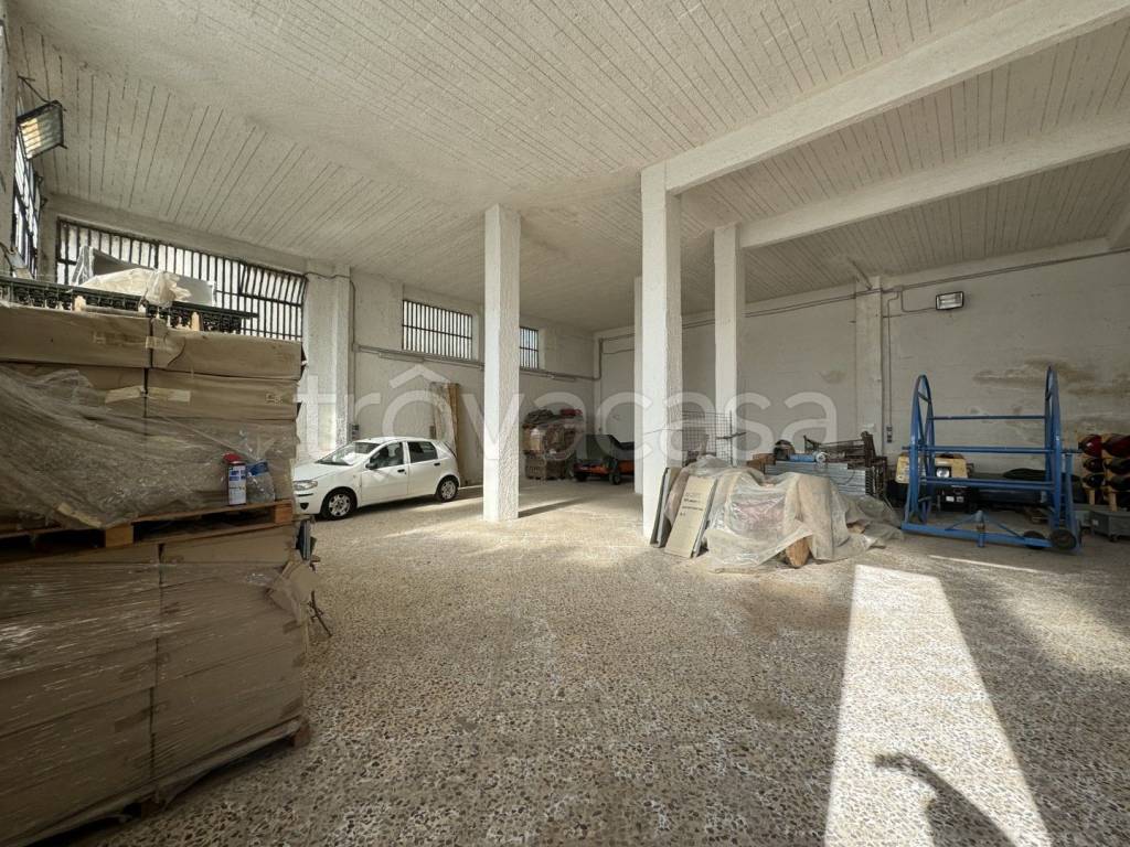 immagine annuncio 3 di 11