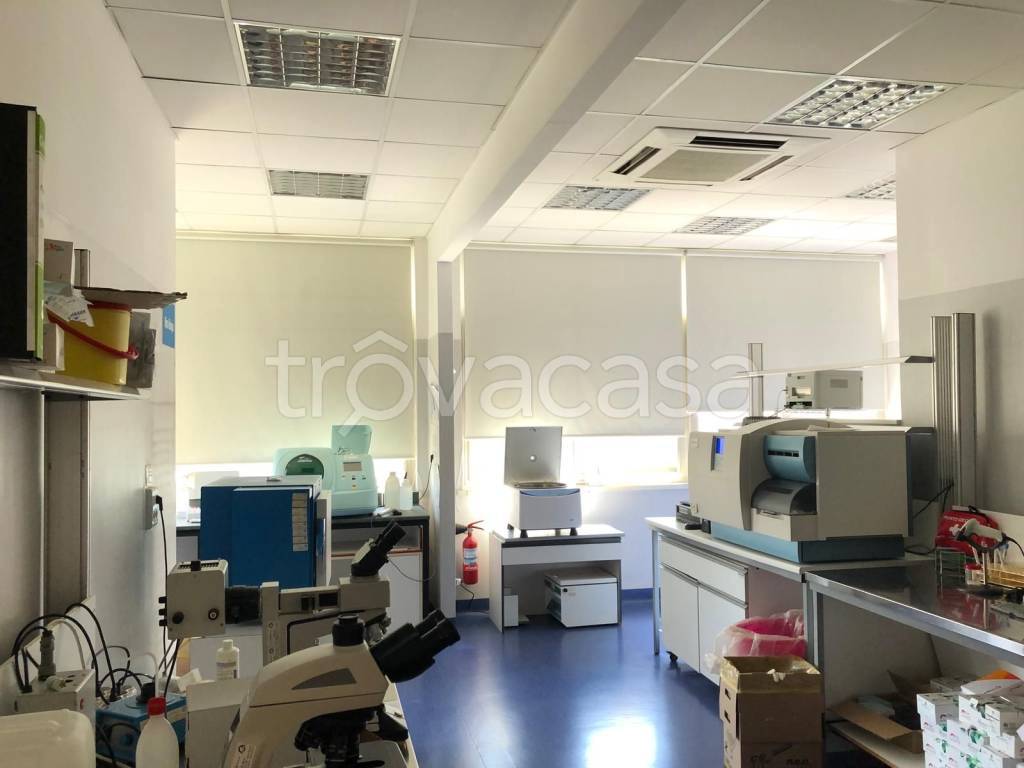 immagine annuncio 5 di 14