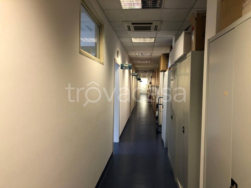 immagine annuncio 9 di 14