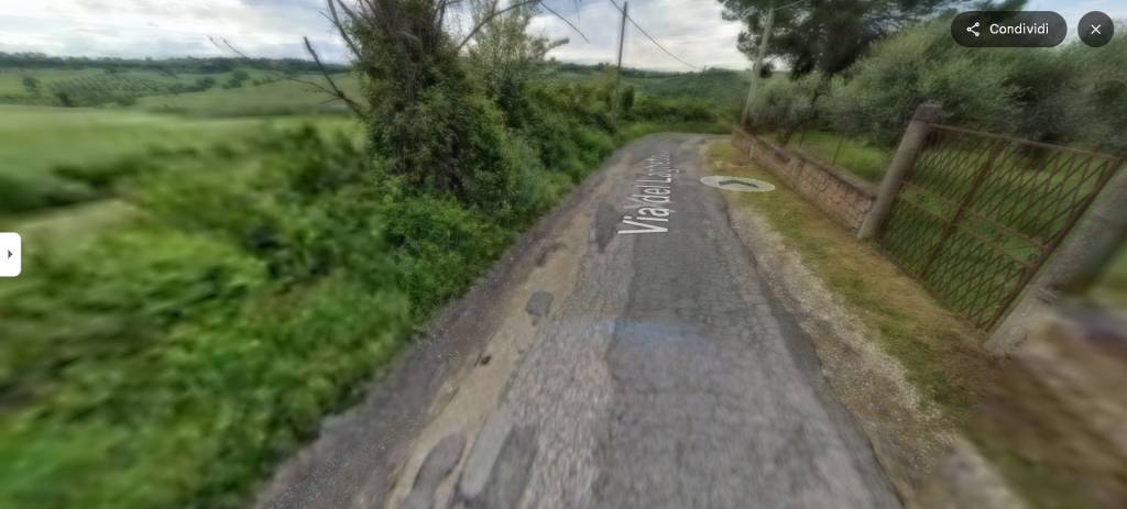 immagine annuncio 11 di 14