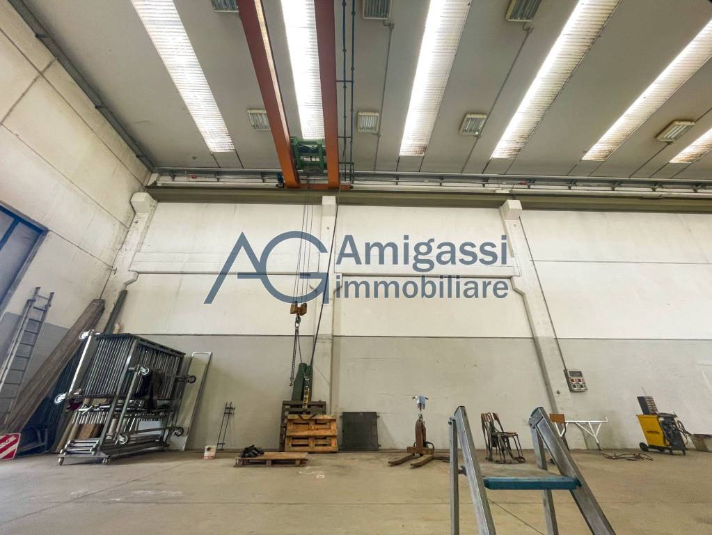 immagine annuncio 4 di 15