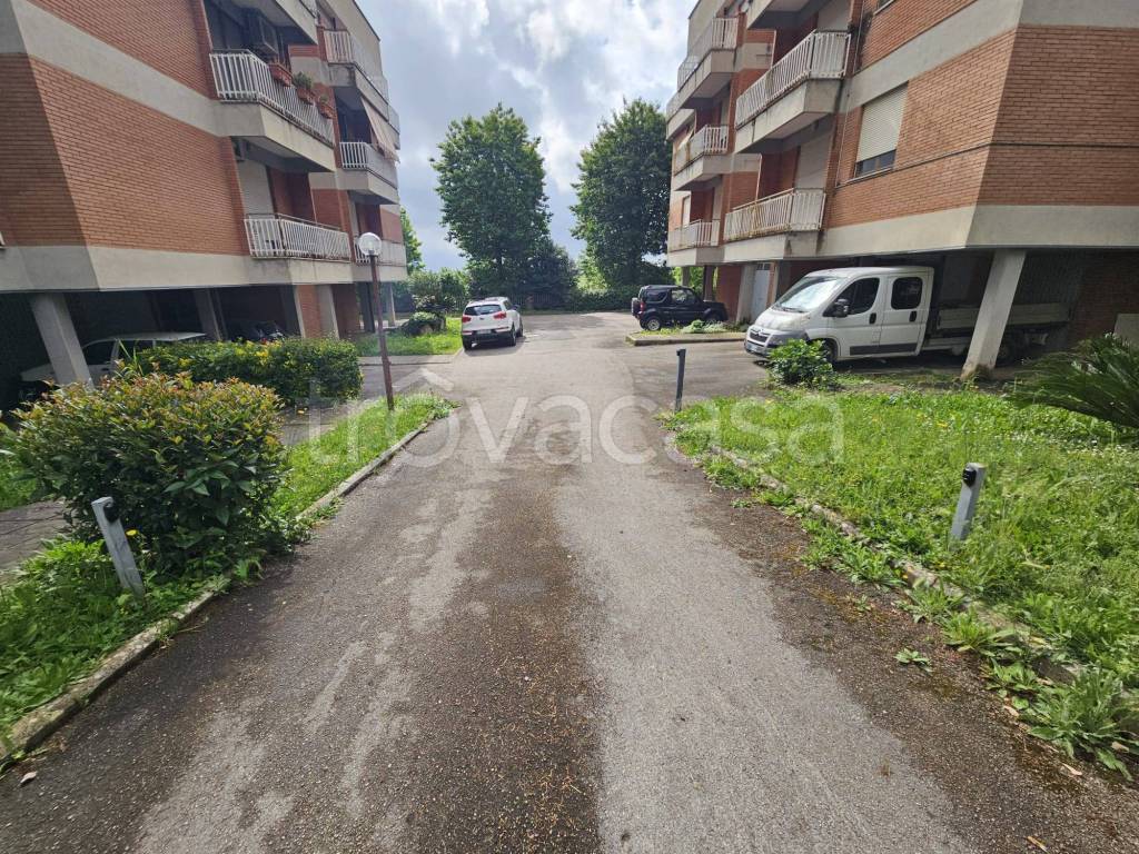 immagine annuncio 1 di 13