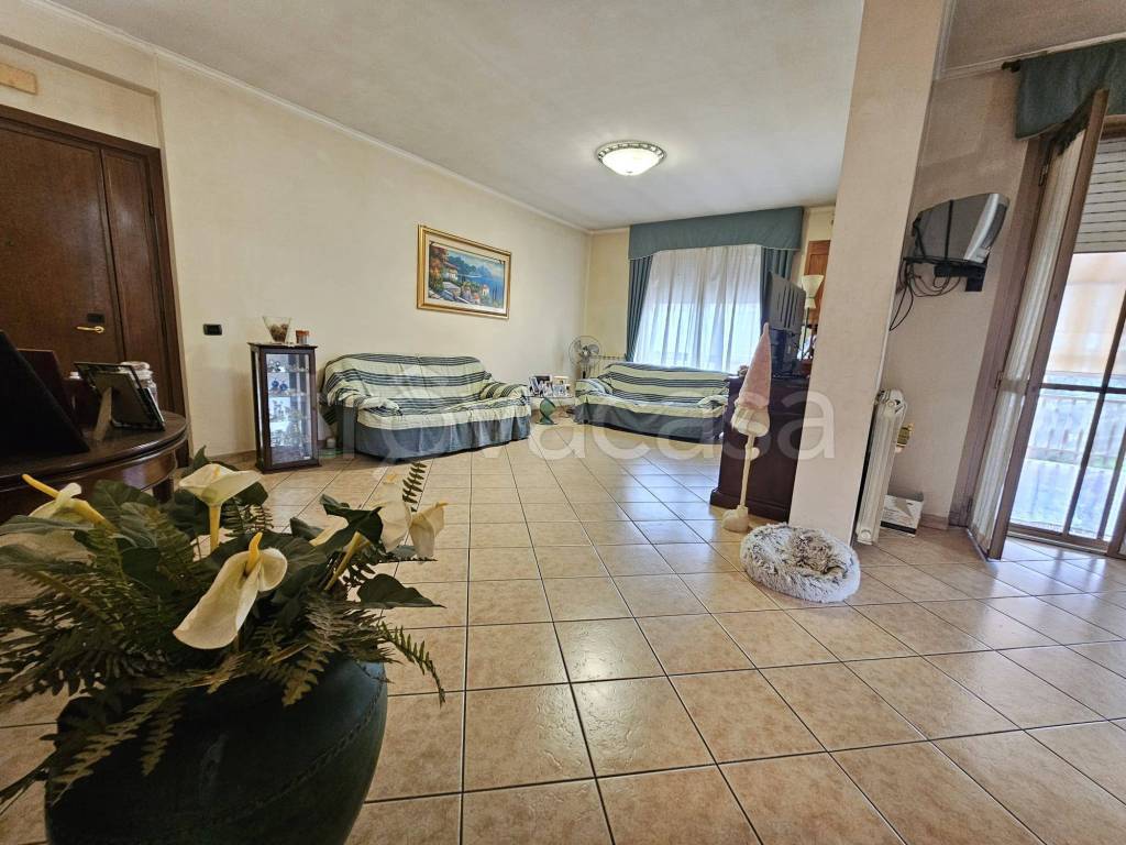 immagine annuncio 5 di 13