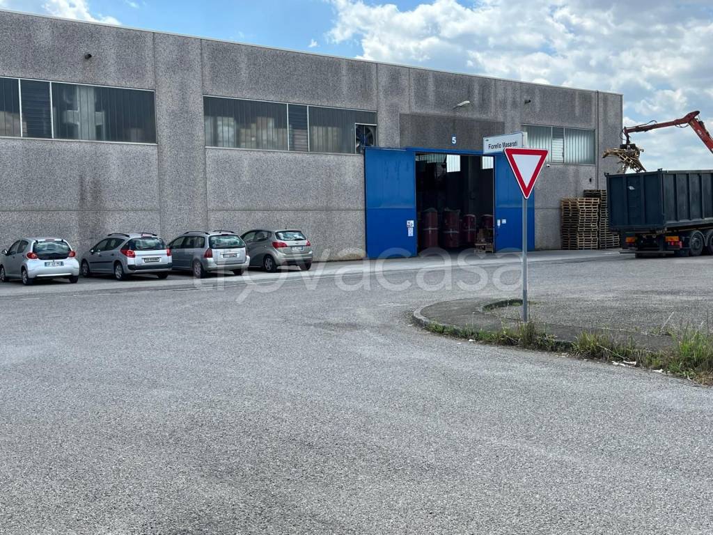 immagine annuncio 1 di 13