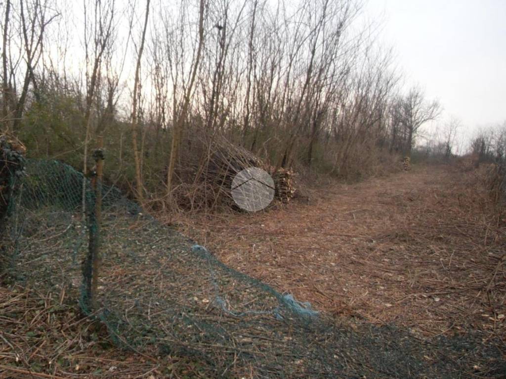 immagine annuncio 3 di 8